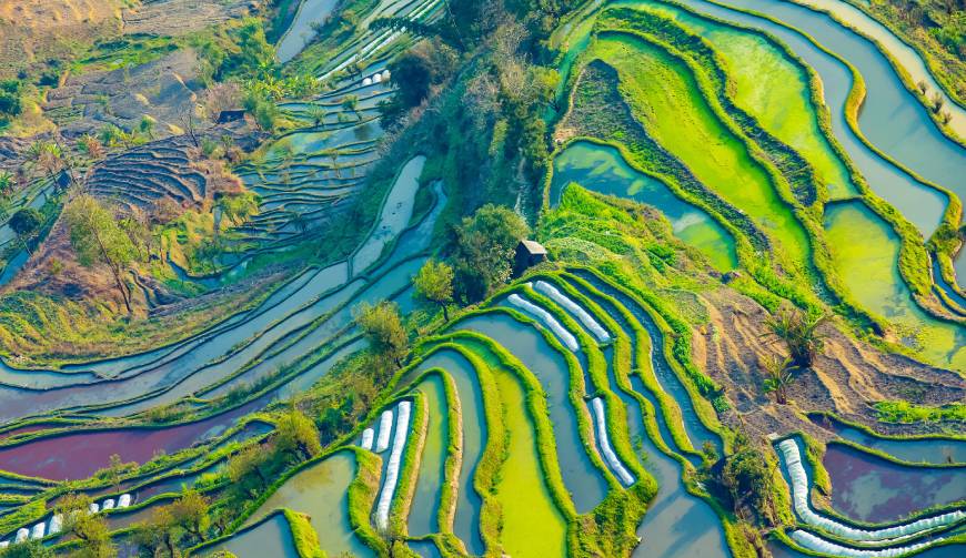 宝妈必备神器：雨花台区产品视频拍摄轻松育儿好帮手